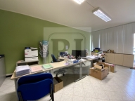 negozio in affitto a Limena