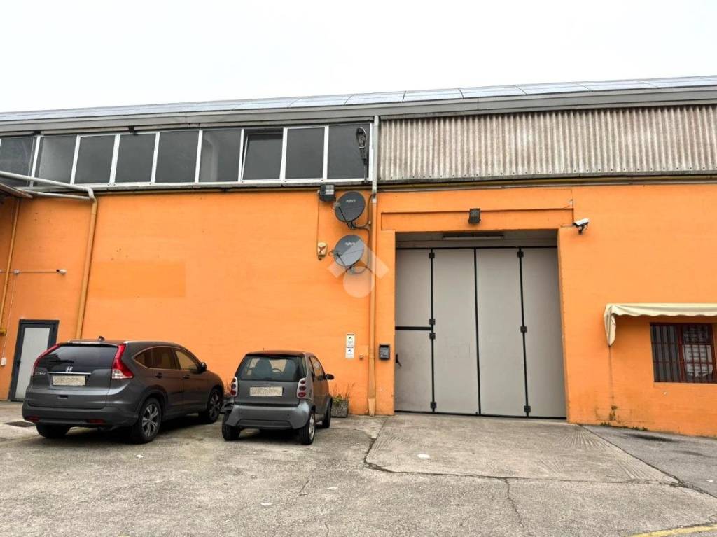locale commerciale in affitto a Limena