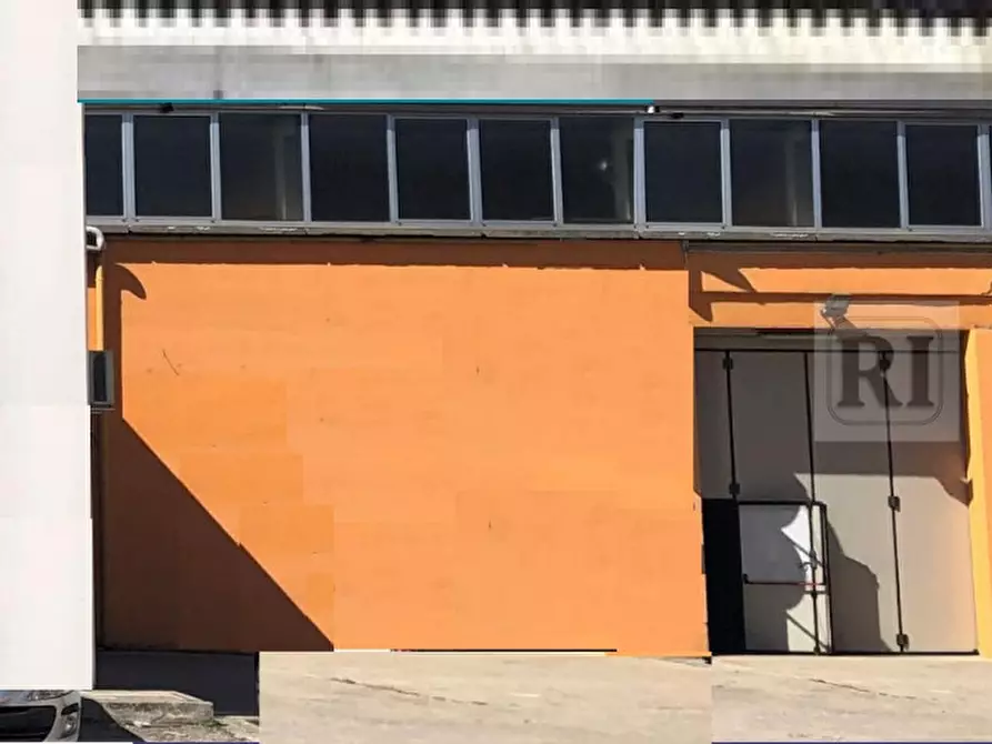 mansarda in affitto a Limena