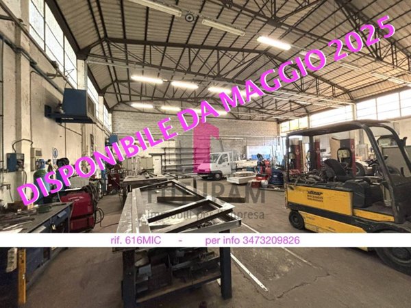locale commerciale in affitto a Limena