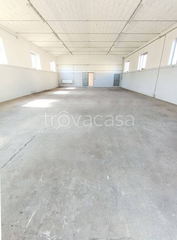 locale commerciale in affitto a Limena