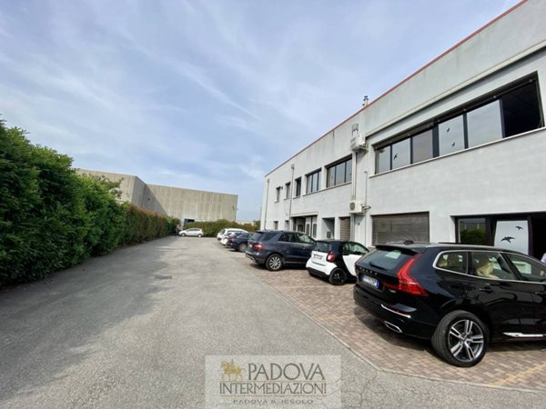 ufficio in affitto a Limena