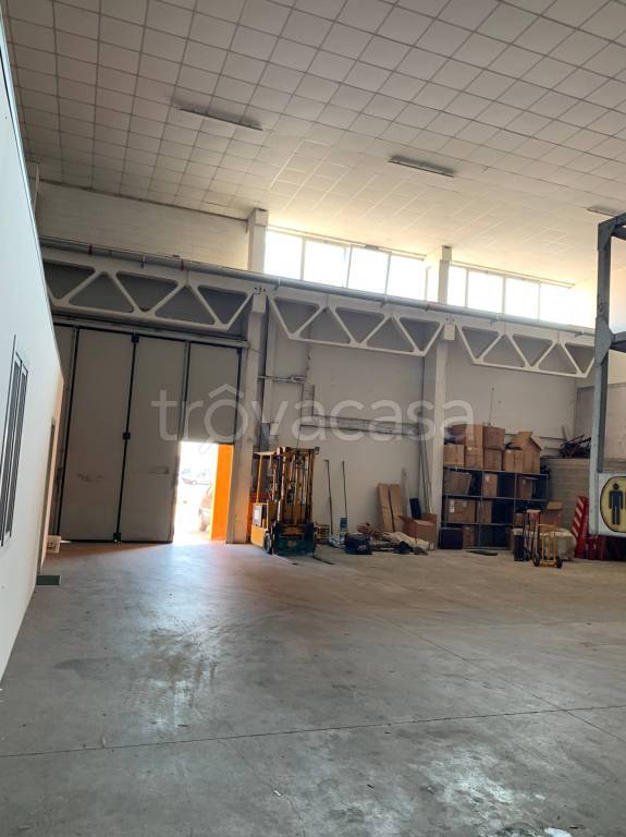 locale commerciale in affitto a Limena