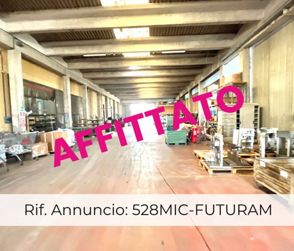 attico in affitto a Limena