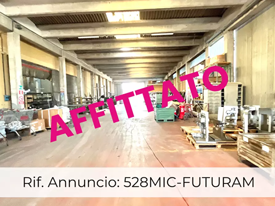 attico in affitto a Limena