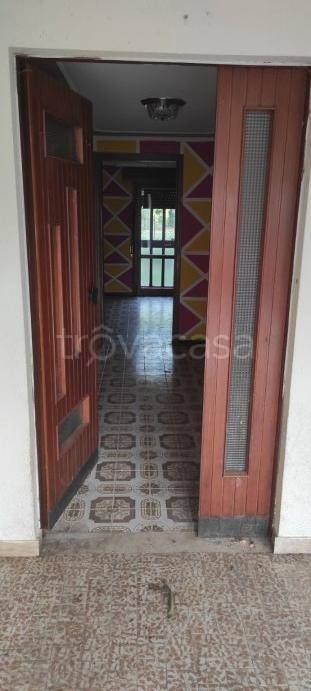 casa indipendente in affitto a Limena