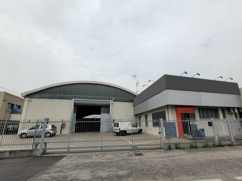 locale commerciale in affitto a Limena