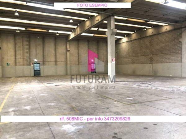 locale commerciale in affitto a Limena