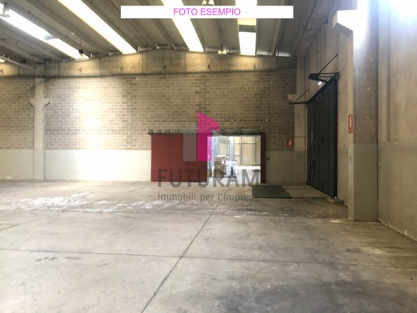 capannone in affitto a Limena