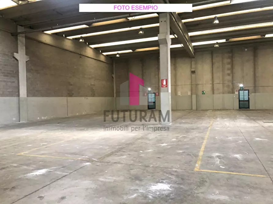 capannone in affitto a Limena