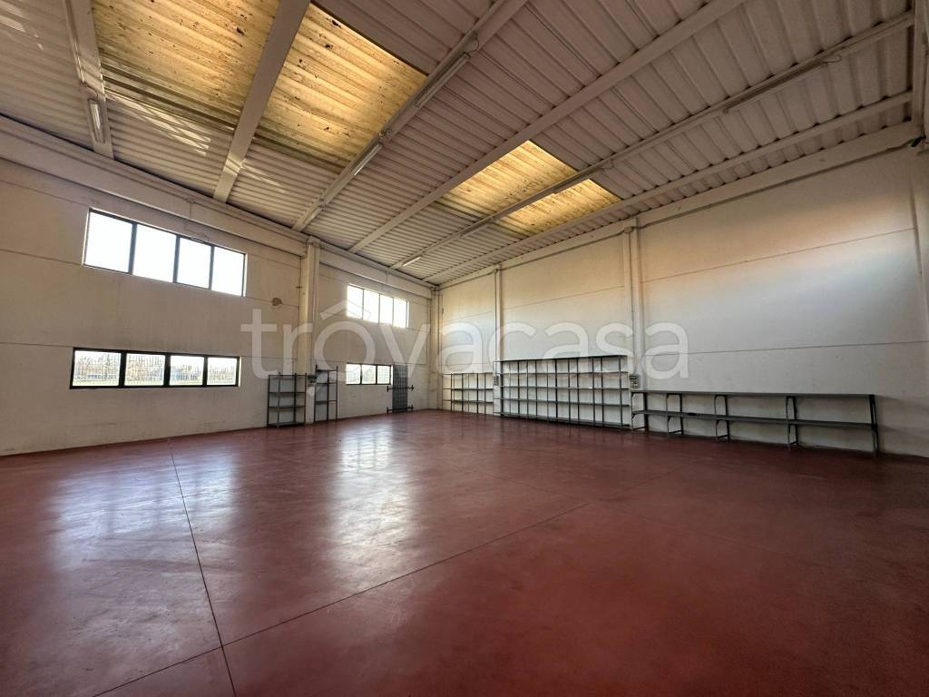 locale commerciale in affitto a Limena