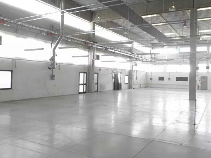 negozio in affitto a Limena