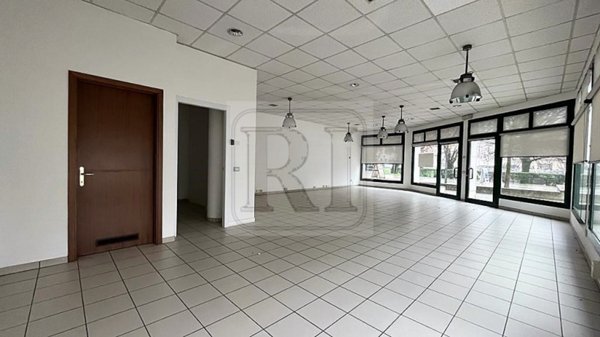 negozio in affitto a Limena