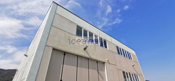 capannone in affitto a Limena