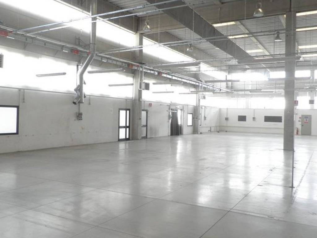 locale commerciale in affitto a Limena