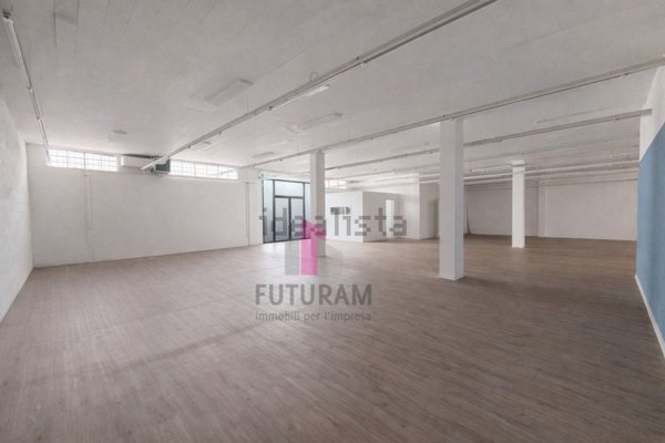 loft in affitto a Limena