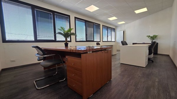 ufficio in affitto a Limena