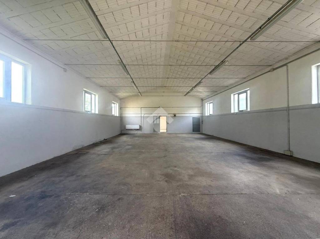 locale commerciale in affitto a Limena
