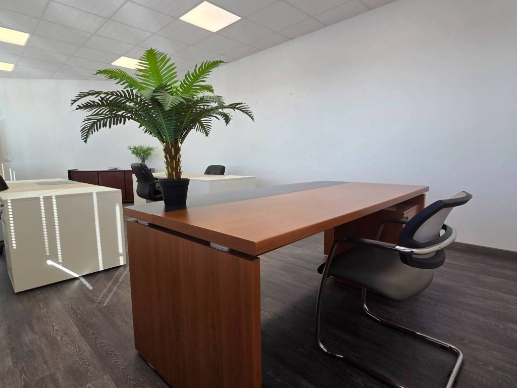 ufficio in affitto a Limena