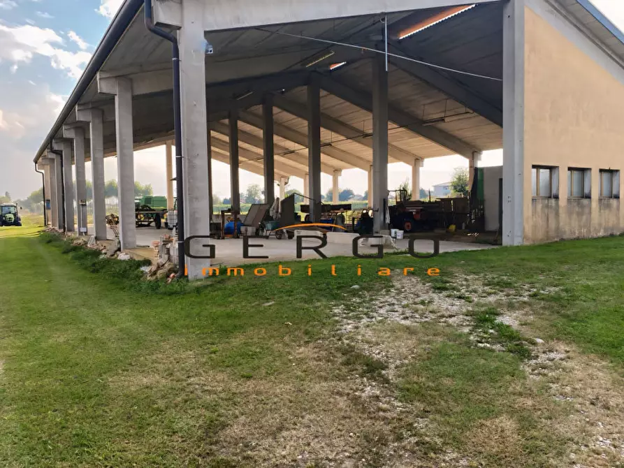 ufficio in affitto a Loreggia