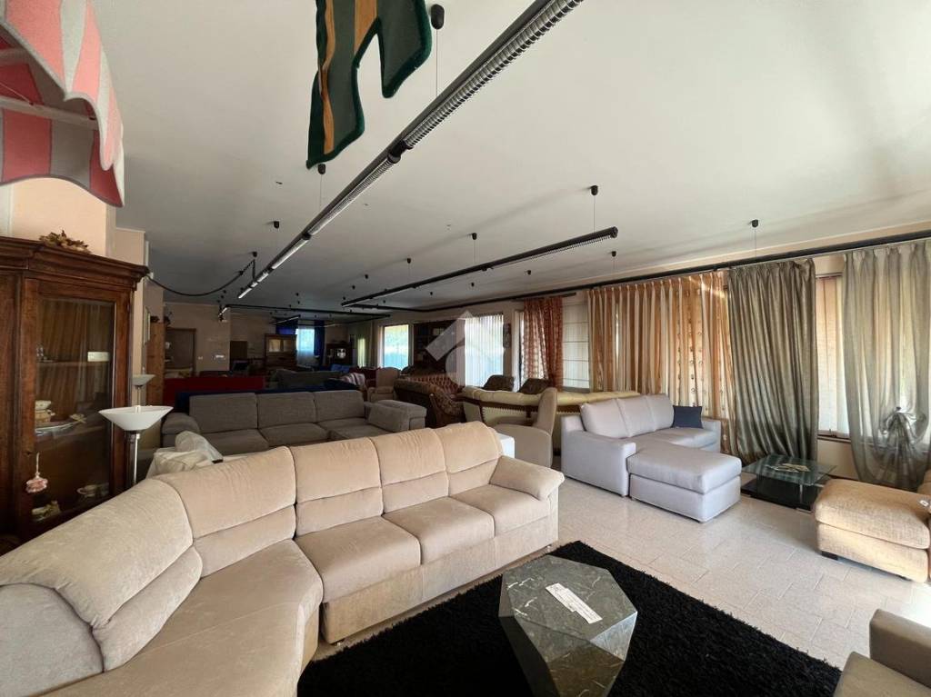 negozio in affitto a Loreggia in zona Loreggiola