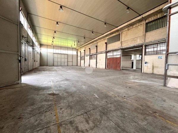 locale commerciale in affitto a Maserà di Padova