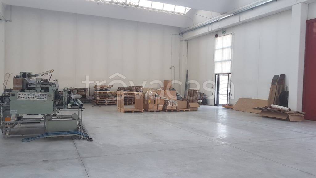 capannone in affitto a Maserà di Padova