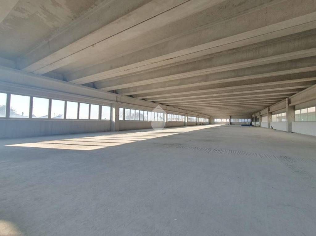 negozio in affitto a Maserà di Padova