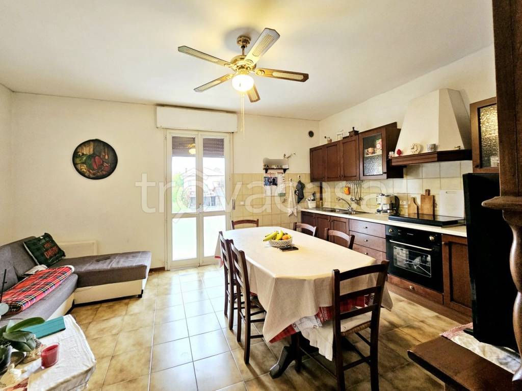 appartamento in affitto a Megliadino San Vitale