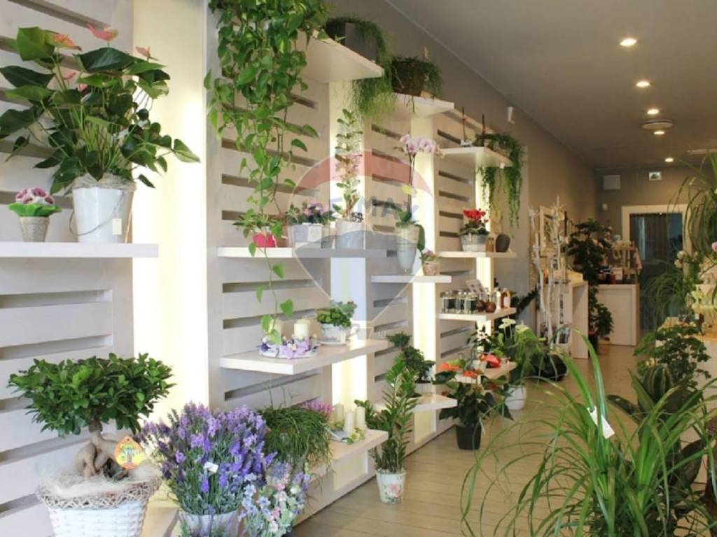 negozio in affitto a Mestrino