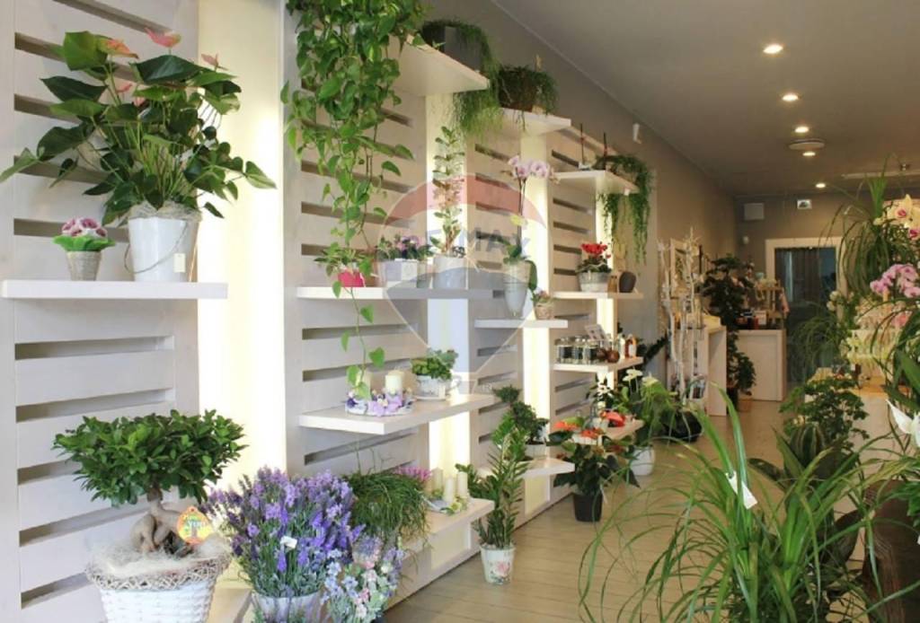 negozio in affitto a Mestrino