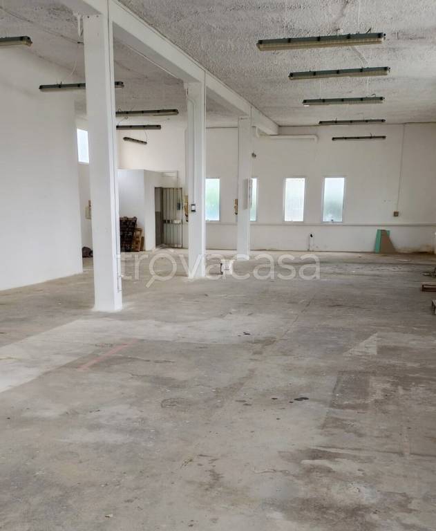 locale commerciale in affitto a Mestrino