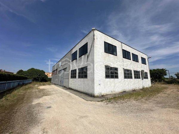 locale commerciale in affitto a Monselice