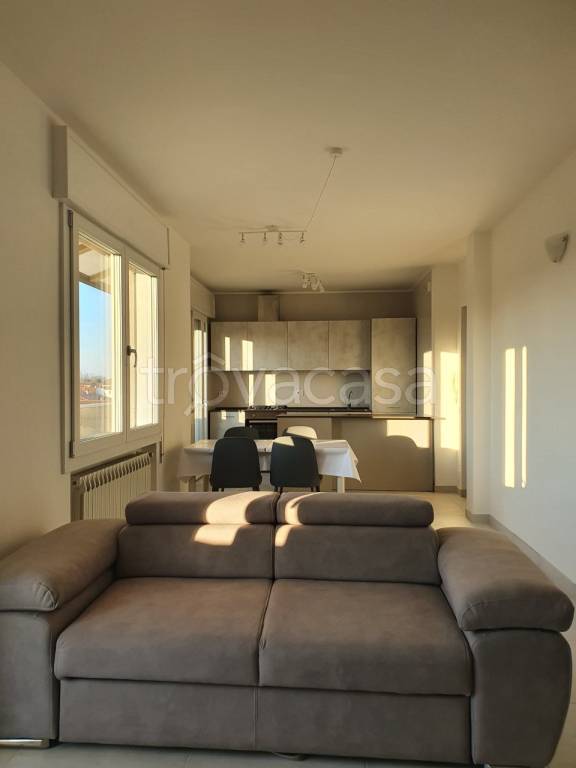 appartamento in affitto a Monselice