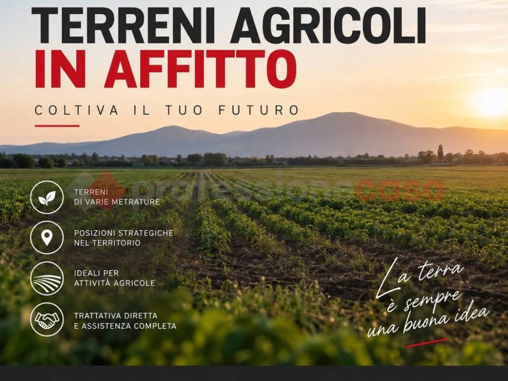 immagine annuncio 0 di 1