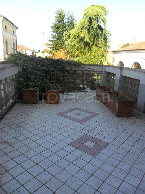 appartamento in affitto a Montagnana