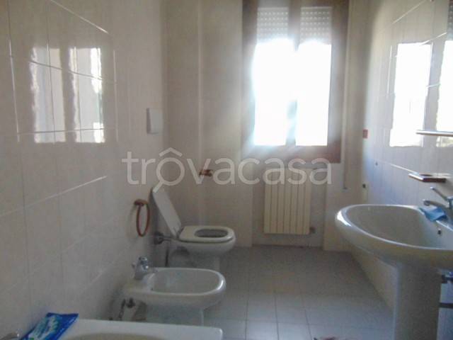 negozio in affitto a Montegrotto Terme