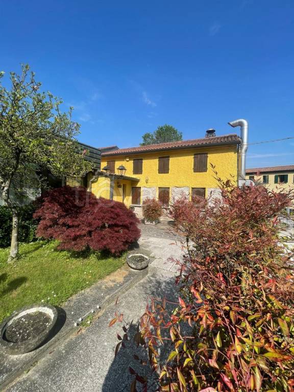 negozio in affitto a Montegrotto Terme