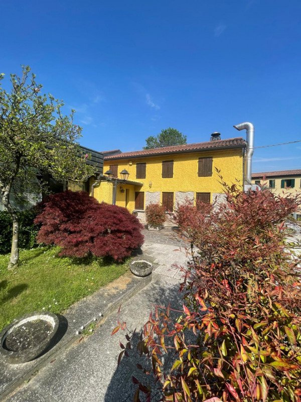 negozio in vendita a Montegrotto Terme