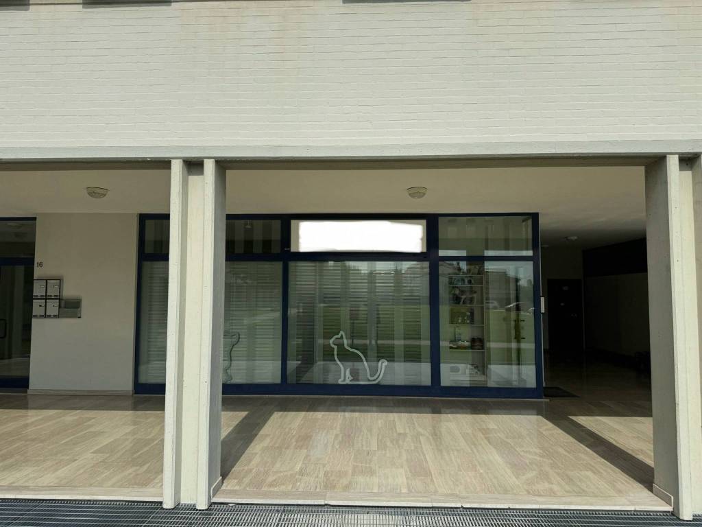 negozio in affitto a Noventa Padovana