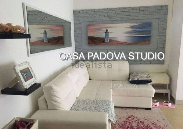 appartamento in affitto a Noventa Padovana