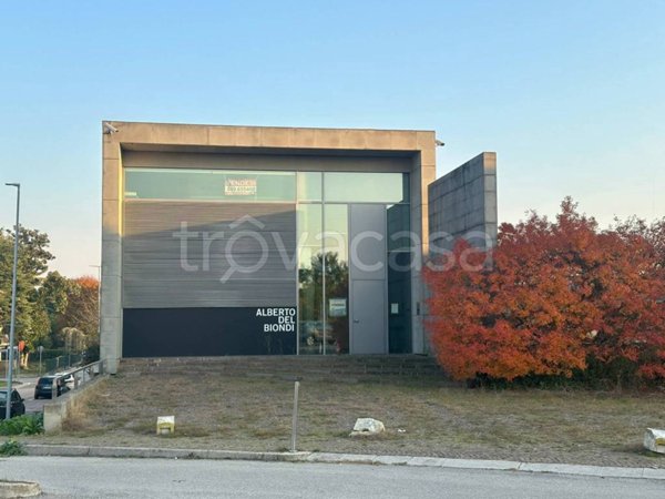 negozio in affitto a Noventa Padovana in zona Oltre Brenta
