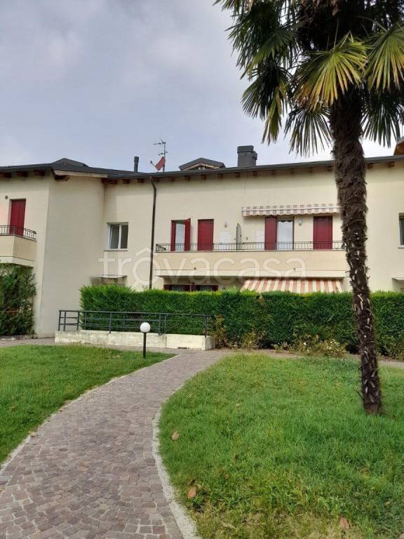 appartamento in affitto a Noventa Padovana