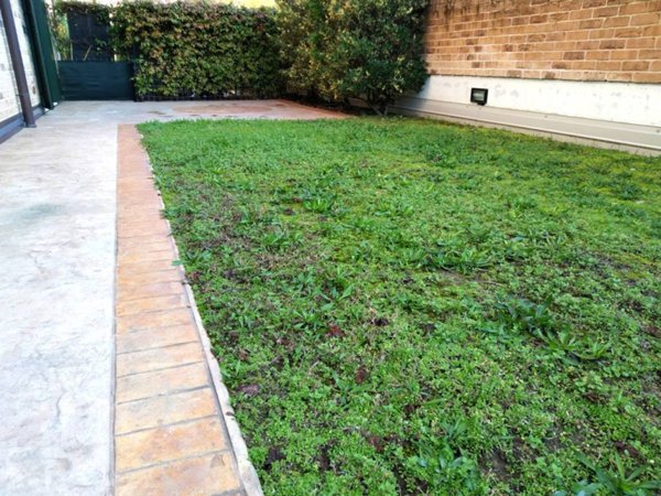 appartamento in affitto a Noventa Padovana