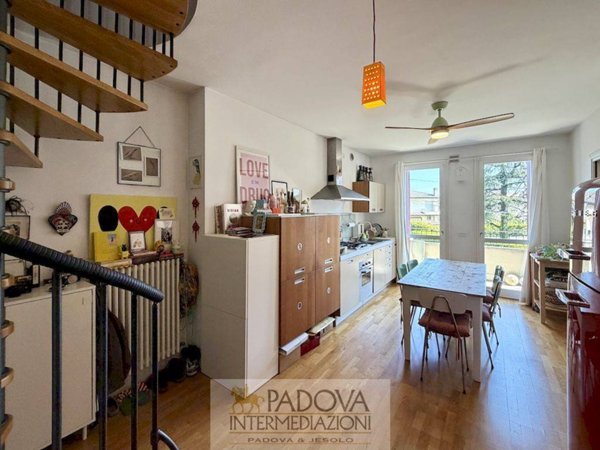 appartamento in affitto a Noventa Padovana