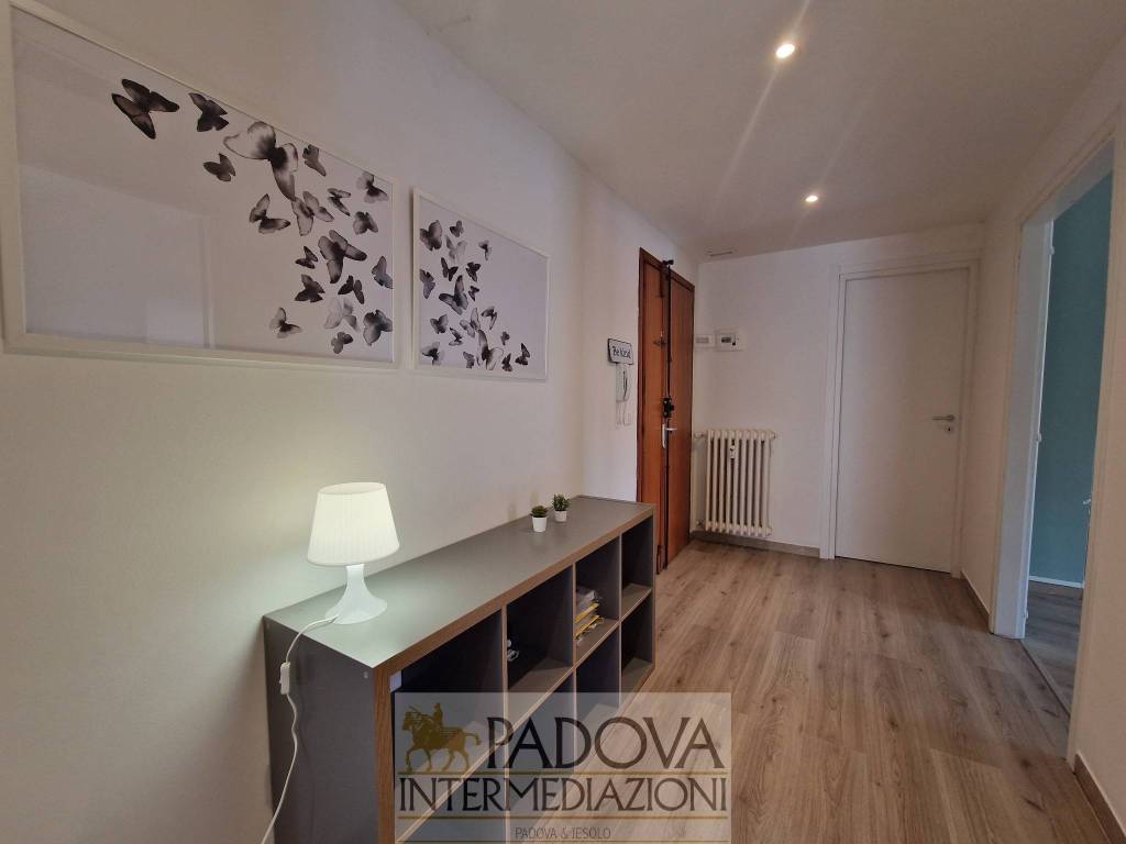 appartamento in affitto a Padova in zona Centro Storico