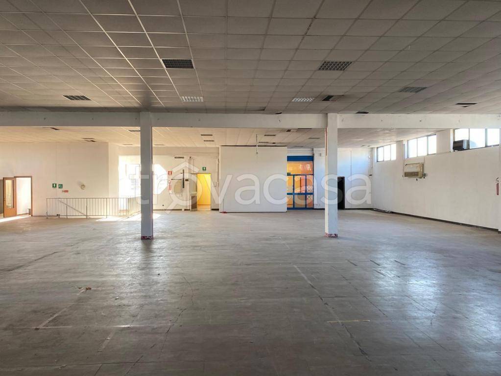 locale commerciale in affitto a Padova in zona Pio X