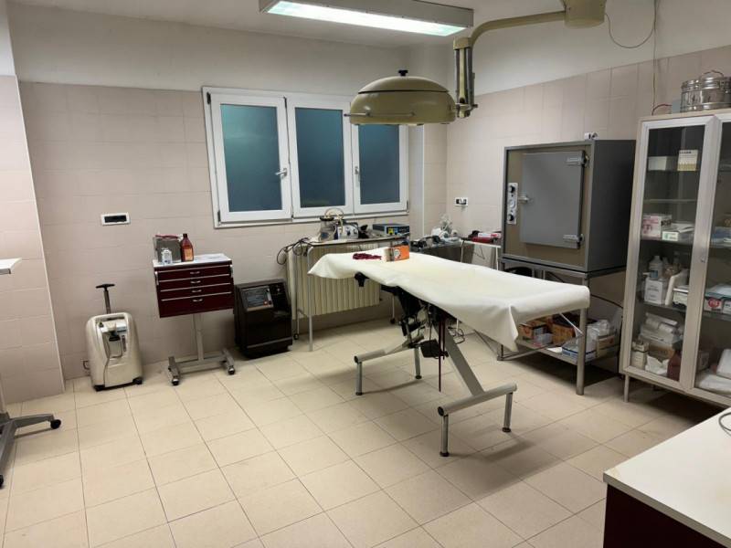 ufficio in affitto a Padova