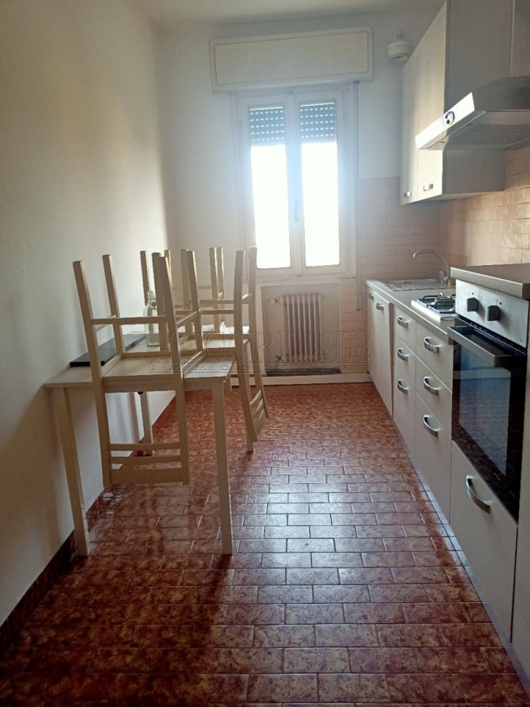 appartamento in affitto a Padova