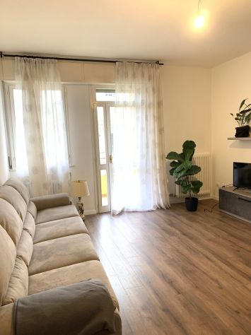 appartamento in affitto a Padova